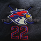 Logan Briar U Hawks Hockey Jersey