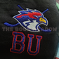 Briar University Hawks Hockey Sweater